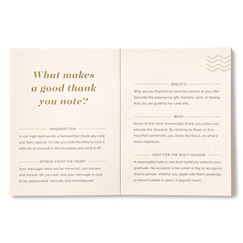 A Year of Gratitude Card Kit by Compendium - A Gratitude Note Card Kit to Inspire 52 Weeks of Giving Thanks - color: Green & Cream: A Year of Gratitude