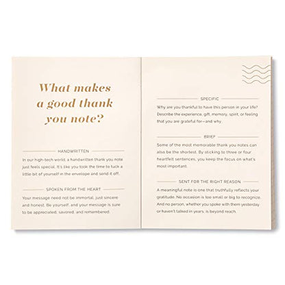A Year of Gratitude Card Kit by Compendium - A Gratitude Note Card Kit to Inspire 52 Weeks of Giving Thanks - color: Green & Cream: A Year of Gratitude