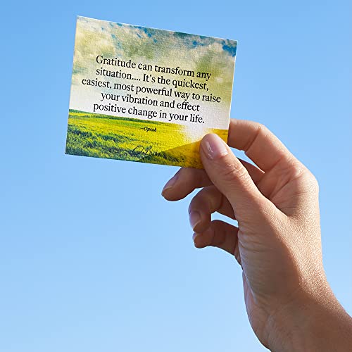 Oprah's The Life You Want™ Daily Inspiration Cards!