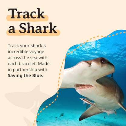 Fahlo Shark Tracking Bracelet – Track a Real Shark's Journey – Supports Wildlife Conservation – Elastic – on Interactive Mobile App Map – Unisex Ocean Conservation Gift - color: Lava Stone