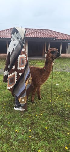 AHUAY Premium Hypoallergenic Alpaca Wool Blanket – Reversible 2-in-1 Andean Geometric Throw, Ultra Soft Warm Lightweight, Handmade in Ecuador (Tungurahua Brown Coffee, King) - color: Tungurahua Brown Coffee, size: King (100" x 83")