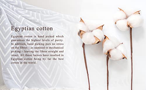 SE SOFTEXLY Muslin Blanket Throw 50x60, Jacquard Summer Cooling Blanket Cozy Organic Egyptian Cotton Bed Spread for Bed Couch Breathable Lightweight Keep Body Cool for Hot Sleepers - color: Tassels Blue