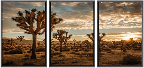 wall26 Framed Canvas Print Wall Art Set Joshua Tree Sunset Desert Landscape Photography Realism Scenic Landscape Decorative Colorful Multicolor for Bedroom - 16"x24"x3 Black - color: Ab31-2404-irs27, size: 16" x 24" x 3 Panels BLACK