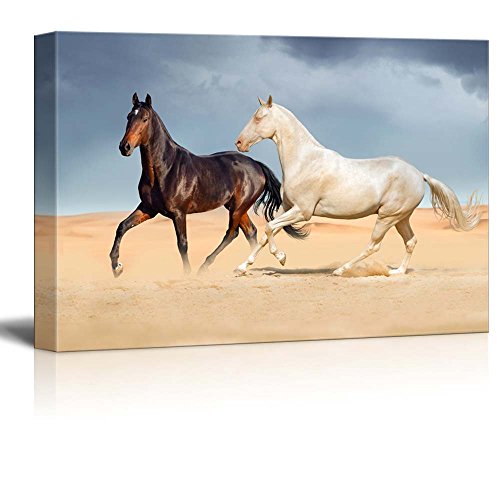 A White Horse and a Black Horse Running on Desert Against Beautiful Sky - Canvas Art Wall Art - 12" x 18" - color: Horse, size: 18"L x 12"W