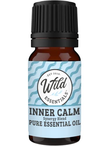 Wild Essentials Dream Catcher Essential Oil Diffuser Necklace Gift Set with Inner Calm & Relax Oils – Nickel Free Alloy Pendant with 6 Lava Stones – USA Made Oils & Perfume Necklace – Family Company - color: Silver Dreamcatcher, size: 2 Oils