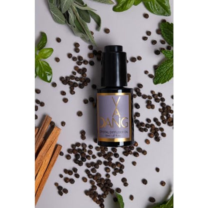 Van Dang Crystal Stone Meditation Set Smoky Quartz | Diffuser Oil Dropper Aromatherapy | Luxury Spiritual Home Decor Fragrance Gift Notes of Lavandin Nutmeg Tobacco Suede Vanilla (Smoky Quartz) - color: Smoky Quartz