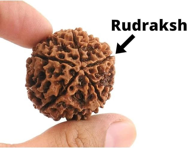 Rudraksh Mala, Natural Himalayan Genuine Original Rudraksha Rosary - style: Rudraksh Jaap mala 8-9MM