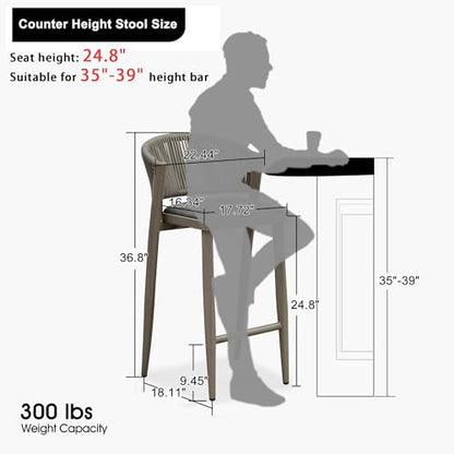PURPLE LEAF Counter Height Bar Stool Set of 2 Modern Aluminum Rattan Wicker Outdoor Barstools with Backrest and Cushion for Kitchen Lawn Pool Bar Chairs Grey