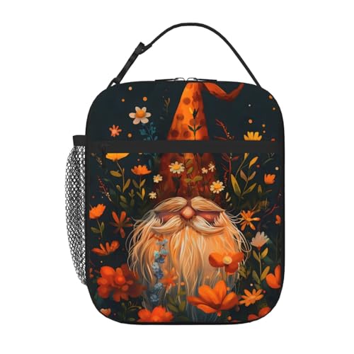 Gnomes Lunch Box Insulated Lunch Bag for Women Portable Lunchbox Leakproof Cooler Tote Bag for Work Camping Office Outdoor for Men Girl Boy - color: Gnomes01