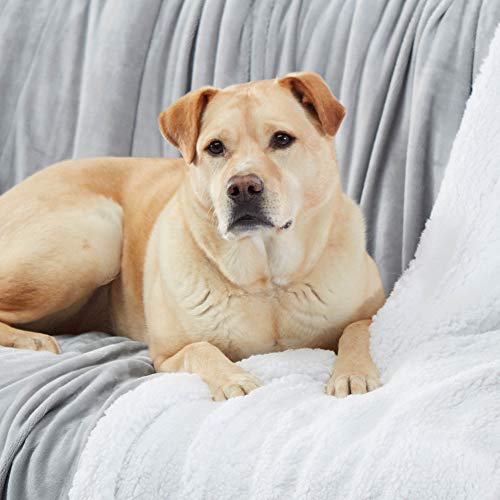Sherpa Throw Blanket Super Soft Reversible Ultra Luxurious Plush Blanket, 50 x 60 inches, Silver/White - color: Silver / White, size: Throw (50" x 60")