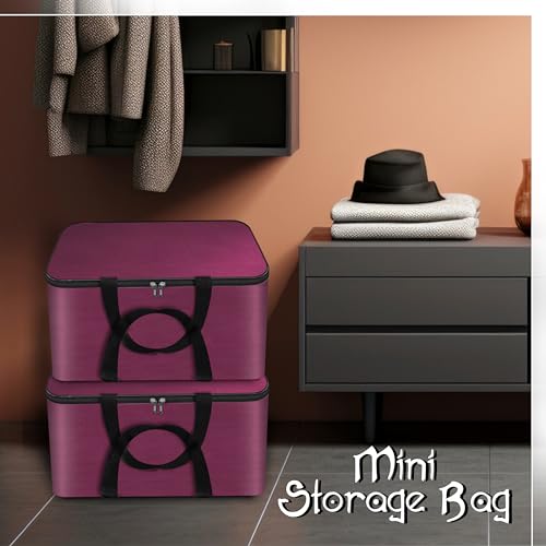 Storite 2 Pack Small Non-Woven Fabric Clothes Storage Bags | Foldable Wardrobe Organizer with Zipper & Handle | Underbed Cloth Storage Box for Sarees, Blankets & Toys (Non-Woven, 41_35_23.5 cm)