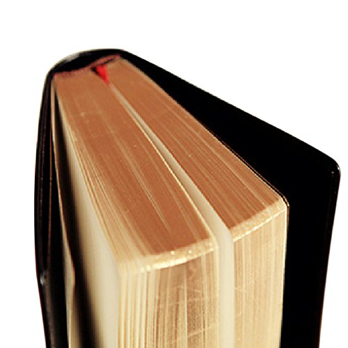 RUIXIA Blank Page A5 Notebook Super Thick 240 Sheets Sketch Book with PU Leather Cover 100GSM Paper Notepad No Lines Journal Drawing Memo Writing Pad Diary for Study Working Travelling, Black Gold - color: Black with Gold Edge