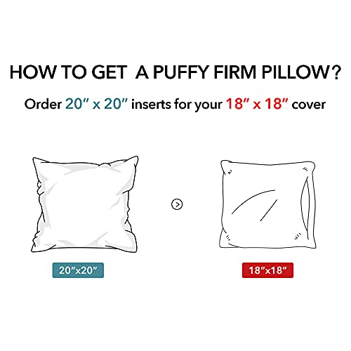 Oubonun 20 x 20 Throw Pillow Inserts (Set of 2) with 100% Cotton Cover - 20 Inch Square Interior Decorative Sofa Pillow Insert Pair - White Couch Pillow - style: 20x20 Inch (Pack of 2)