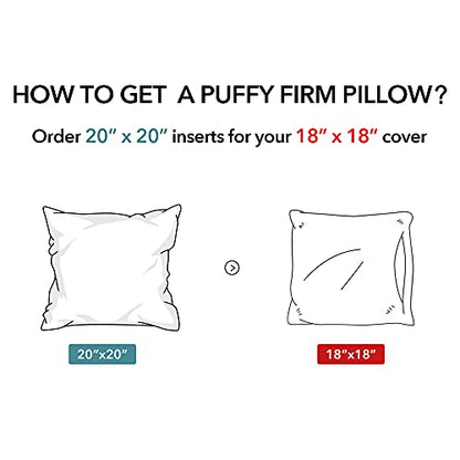 Oubonun 20 x 20 Throw Pillow Inserts (Set of 2) with 100% Cotton Cover - 20 Inch Square Interior Decorative Sofa Pillow Insert Pair - White Couch Pillow - style: 20x20 Inch (Pack of 2)