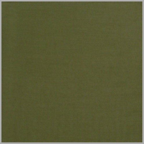 CJ Apparel Solid Color Tassels Design Nepalese Shawl Scarf Wrap Stole Throw Head Wrap Pashmina Gift Hand Made in Nepal New - color: Avocado Green