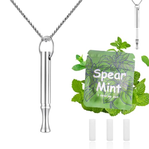 LAMKHOO Breathing Necklace to Quit Smoking and Vaping with Refillable Mint Pods Stop Smoking Aids Fidget Necklace for Anxiety Relief Smokeless Inhaler for Adults - color: silver