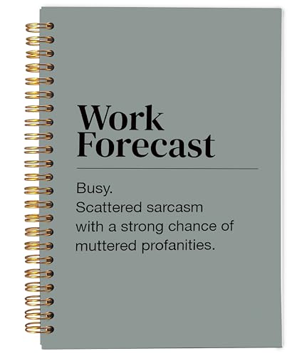 Funny Office Notebooks for Work, Sarcastic Office Journal, Work Humor Gifts Journal for Coworkers Women Men, Funny Office Supplies, Spiral Notebooks 5.5x8.3 Inch - color: 19-explanation-notebook