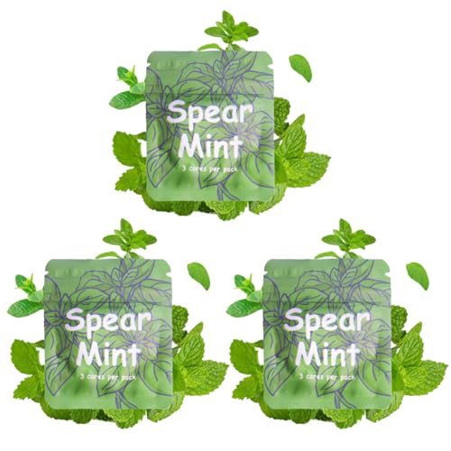 3 Pcs Spearmint Flavor Cores for Breathing Necklace to Quit Smoking and Vaping with Refillable Mint Pods Stop Smoking Aids Fidget Necklace for Anxiety Relief Smokeless Inhaler for Adults (Spear Mint×3) - color: Spear Mint×3