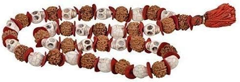Rudraksh Mala, Natural Himalayan Genuine Original Rudraksha Rosary - style: SkulMund mala & Rudraksh Rosery 47 Beads