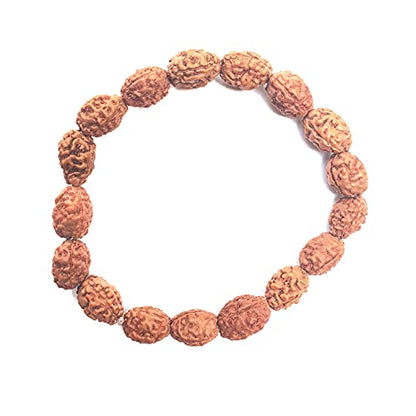 Rudraksha Bracelet for Men & Women's 2 Face, 3 Mukhi, 4 Mukhi, 5 Face, 6 Mukhi, 7 Mukhi, 8 Mukhi, 9 Mukhi, 10 Mukhi, 11 Mukhi Himalayan Rudraksha Beads Wrist Band for Yoga, Meditation, Healing - style: 3 Mukhi - Three Faced