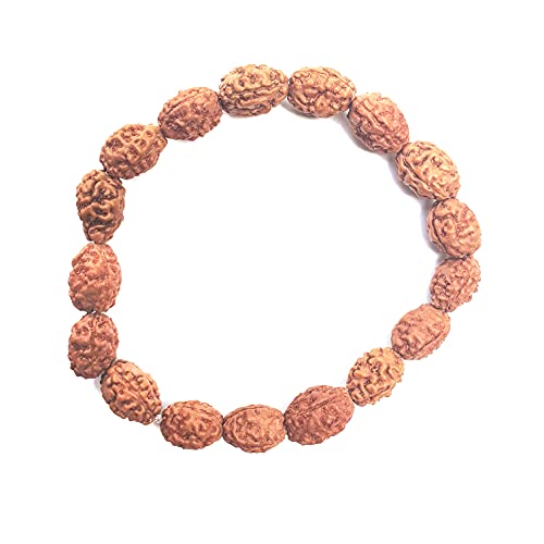 Rudraksha Bracelet for Men & Women's 2 Face, 3 Mukhi, 4 Mukhi, 5 Face, 6 Mukhi, 7 Mukhi, 8 Mukhi, 9 Mukhi, 10 Mukhi, 11 Mukhi Himalayan Rudraksha Beads Wrist Band for Yoga, Meditation, Healing - style: 3 Mukhi - Three Faced