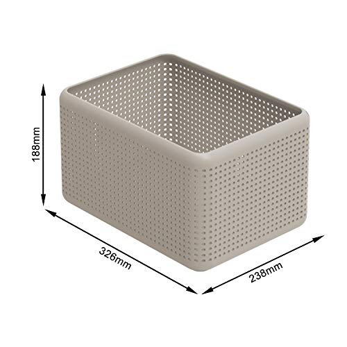 Rotho Storage Box, Plastic (PP) BPA-Free, Cappuccino, 13l (32,6 x 23,8 x 18,8 cm) - color: Cappuccino