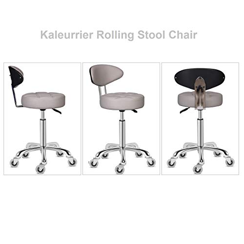 Swivel Stool Chair Adjustable Height,Heavy Duty Hydraulic Rolling Metal Stool for Kitchen,Salon,Bar,Office,Massage (with Back Rest) (Grey)