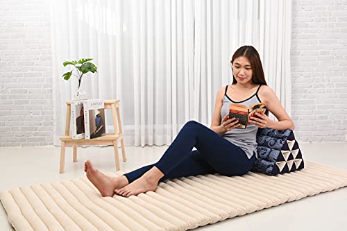 Leewadee Thai Triangle Cushion – Comfortable Backrest for TV or Reading, Wedge Pillow - Eco-Friendly Natural Kapok Filling, 20 x 13 x 13 inches, Blue White - color: Cbt1 - Blue