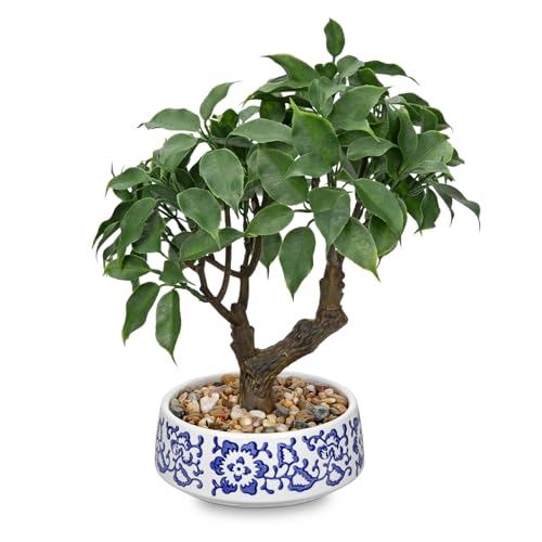 Artificial Bonsai Tree, Small Ficus Bonsai Trees 13" Indoor Bonsais Tree Fake Potted Plant Decorative Fake Desk Plant Decor with Ceramic Pot for Home Office Living Room Bedroom Bathroom Table Shelf - style: French