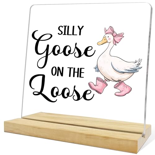 Funny Silly Goose Decor for Women,Silly Goose on the Loose Acrylic SIgn,Nursery Bedroom Desk Decor for Office Home - color: Goose
