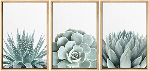 wall26 Framed Wall Art Print Set Green Succulent and Cactus Variety Wilderness Nature Illustrations Modern Art Rustic Closeup Colorful for Living Room, Bedroom, Office - 16"x24"x3 Natural - color: B122-2111-slm18, size: 16" x 24" x 3 Panels NATURAL