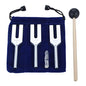 Angel Tuning Forks Set - 4096 Hz, 4160 Hz, 4225 Hz for Healing & Sound Musical Instrument, with Silicone hammer & Soft Storage Bag - color: Silver