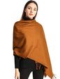 Pashmina Shawl Women Winter Scarf Warm Wedding Wraps Ladies Scarves for Evening Dresses - color: Coffee