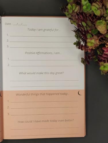 Self Help Personality Development Book, a Quick Moments of Thankfulness, and Your Daily Dose of Gratitude (Pink)