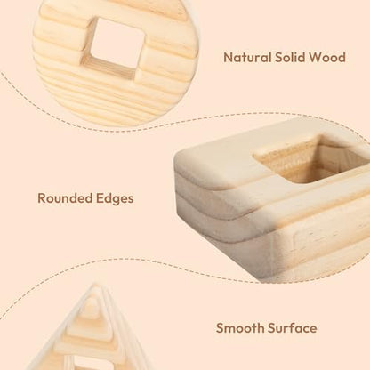 Woodtoe Rainbow Building Blocks Set for Toddlers, 16 PCS Large Acrylic Gem Cubes Stacking Blocks, 3 Wooden Shape, Montessori Stacking Toy for 1 2 3 4 Year Old, Educational STEM Creative Toys for Kids - style: 16 PCS Large Acrylic Blocks Set