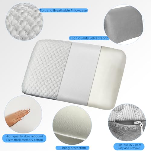 Crisonky Travel and Camping Pillow- Compressible Medium Firm Memory Foam Pillow with Carry Bag for Backpacking & Airplane, Lumbar Support. Breathable Cooling Fabric, Washable Pillowcase (Royal Silver) - color: Royal Silver