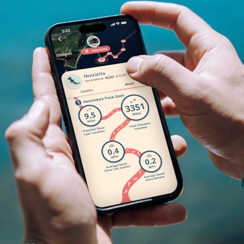 Fahlo Shark Tracking Bracelet – Track a Real Shark's Journey – Supports Wildlife Conservation – Elastic – on Interactive Mobile App Map – Unisex Ocean Conservation Gift - color: Seafoam