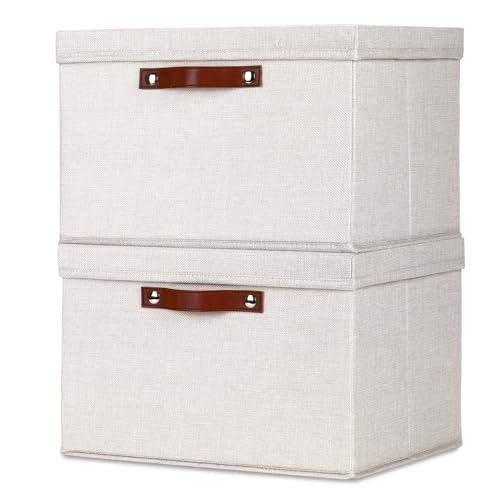 Temary Storage Bins with Lids 2-Pack Large Foldable Storage Baskets with Lid, Fabric Storage Bin for Organizing Home (Beige, 15x11x9.5inch) - color: Beige, size: 15×11×9.5