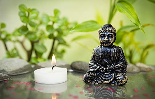 Zen Garden Deluxe Desk Meditation Garden Buddha Statue with Tea Light Holder, Incense Holder, Incense, Rocks, Sand, and Rake (Candle Not Included)
