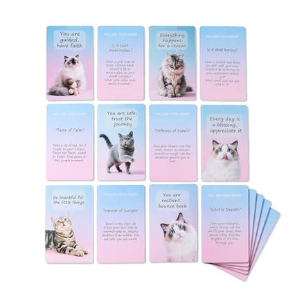 Cat Affirmation Cards – 55 Positive Cards for Anxiety Relief & Self Care, Cute Cat Gifts for Women, Men & Teens, Gift for Cat Lovers - color: Cats Affirmations