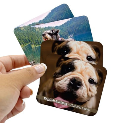 Menique – Dogs Memory Matching Game – Bilingual – 80 Cards (40 Pairs) with Real Photographs – Educational Game for Kids and Adults - style: Dogs