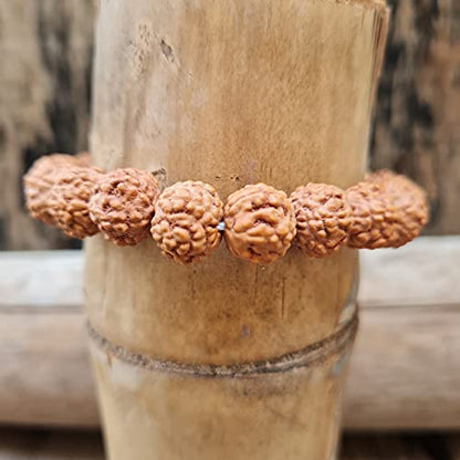 Rudraksha Bracelet for Men & Women's 2 Face, 3 Mukhi, 4 Mukhi, 5 Face, 6 Mukhi, 7 Mukhi, 8 Mukhi, 9 Mukhi, 10 Mukhi, 11 Mukhi Himalayan Rudraksha Beads Wrist Band for Yoga, Meditation, Healing - style: 6 Mukhi - Six Faced