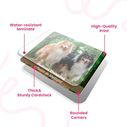Menique – Dogs Memory Matching Game – Bilingual – 80 Cards (40 Pairs) with Real Photographs – Educational Game for Kids and Adults - style: Dogs