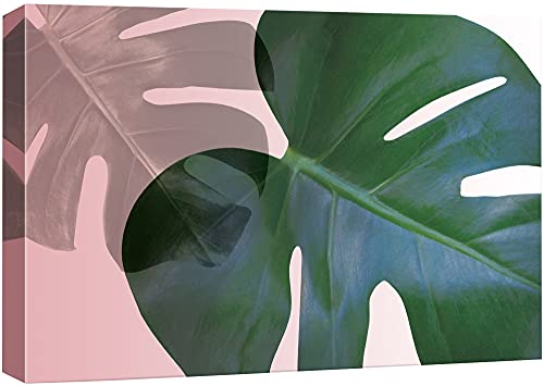 wall26 Canvas Print Wall Art Blue & Pink Transparent Monstera Collage Floral Wilderness Drawings Modern Art Tropical Closeup Colorful Multicolor Cool for Living Room, Bedroom, Office - 12"x18" - color: Bse27-2107-40-fo16, size: 18"L x 12"W