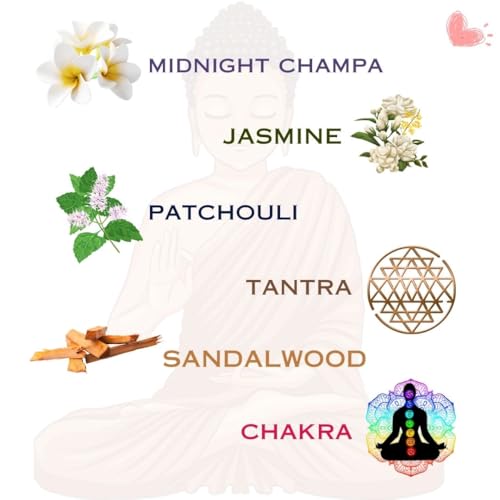 Stamford Masala Vegan Incense Sticks Variery Pack - 180 Incense Sticks | Exclusive Vegan Range Collection | Best for Meditation,Yoga,Aroma Therapy, Relaxation - color: Vegan Masala