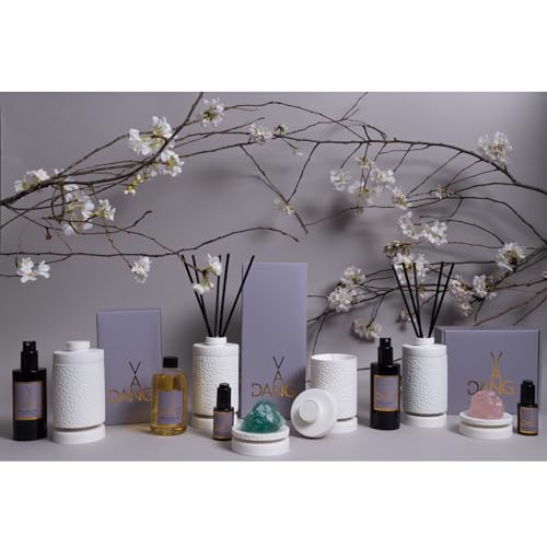 Van Dang Crystal Stone Meditation Set Flourite | Diffuser Oil Dropper Aromatherapy | Luxury Spiritual Home Decor Fragrance Gift Notes of Basil, Ambrette, Pepper, Clary Sage, Mimosa, Sandalwood (Veldt) - color: Veldt