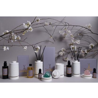 Van Dang Crystal Stone Meditation Set Flourite | Diffuser Oil Dropper Aromatherapy | Luxury Spiritual Home Decor Fragrance Gift Notes of Basil, Ambrette, Pepper, Clary Sage, Mimosa, Sandalwood (Veldt) - color: Veldt