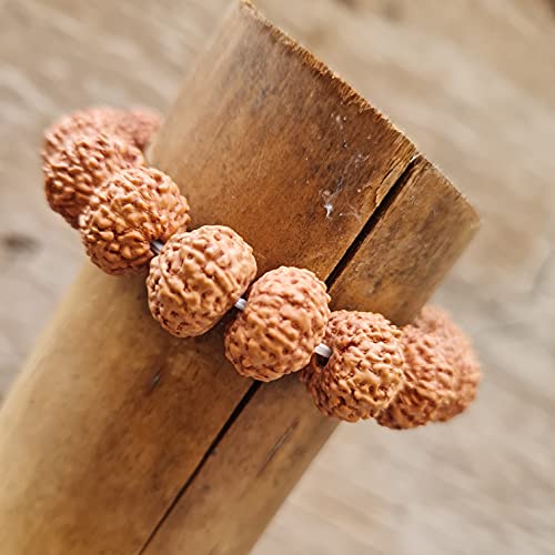 Rudraksha Bracelet for Men & Women's 2 Face, 3 Mukhi, 4 Mukhi, 5 Face, 6 Mukhi, 7 Mukhi, 8 Mukhi, 9 Mukhi, 10 Mukhi, 11 Mukhi Himalayan Rudraksha Beads Wrist Band for Yoga, Meditation, Healing - style: 8 Mukhi - Eight Faced