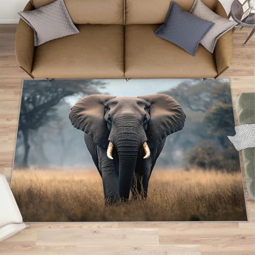 Africa Rugs for Kitchen - 5x6 Area Rug - Elephant Home Decor - Animals Rugs for Living Room Bedroom Carpet - Washable Non Slip - color: Africa#163, size: 5' x 6' (Rectangular)