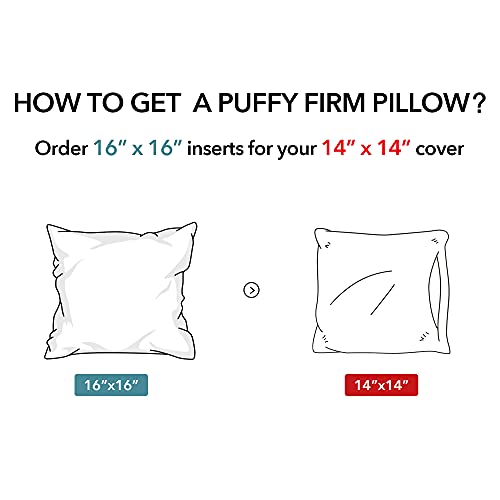 Oubonun 16 x 16 Throw Pillow Inserts Set of 2-100% Cotton Cover - White Couch Bed Decorative Pillow Pair - style: 16x16 Inch (Pack of 2)